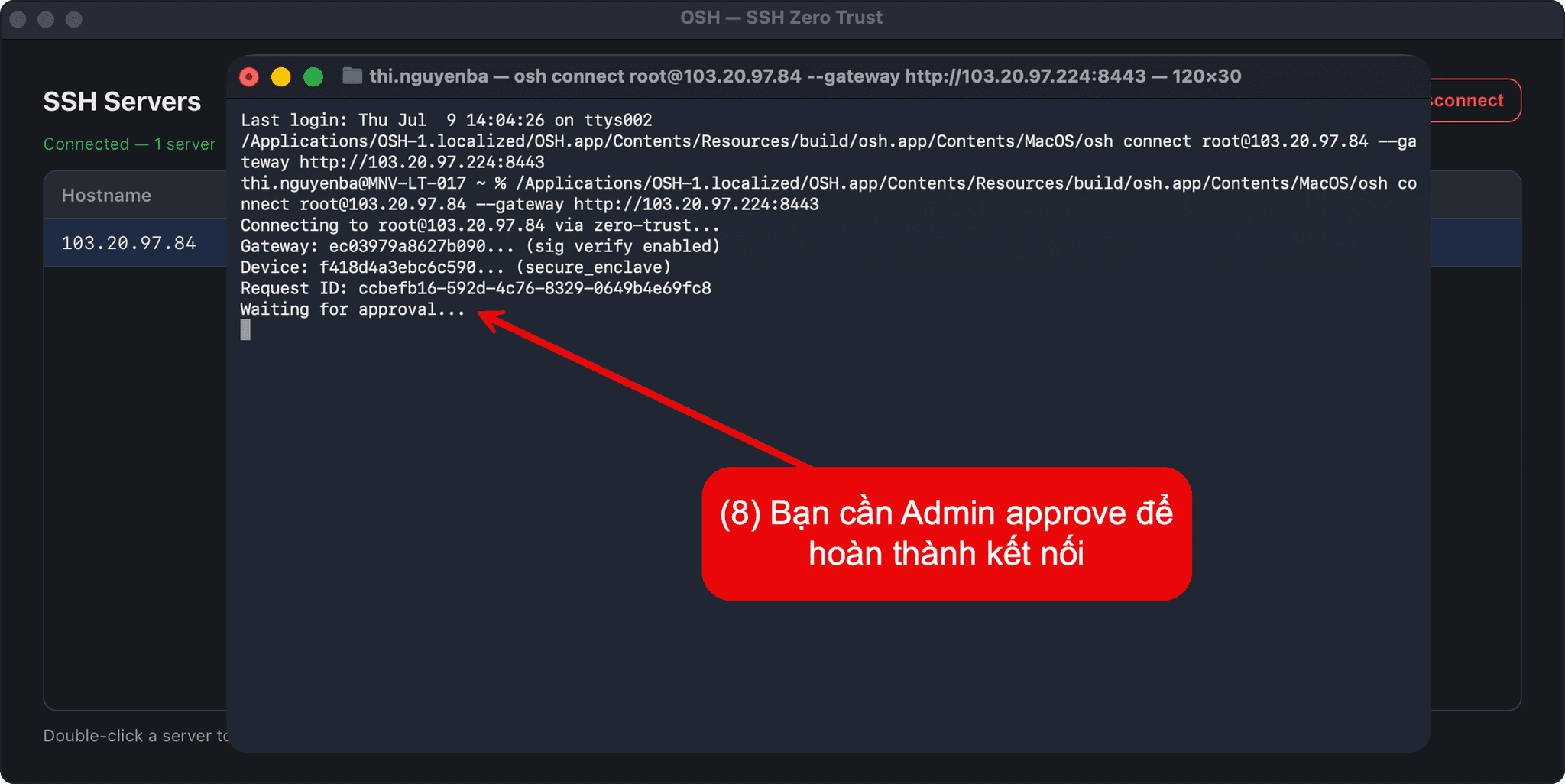 OSH Client results page highlighting the results and access code