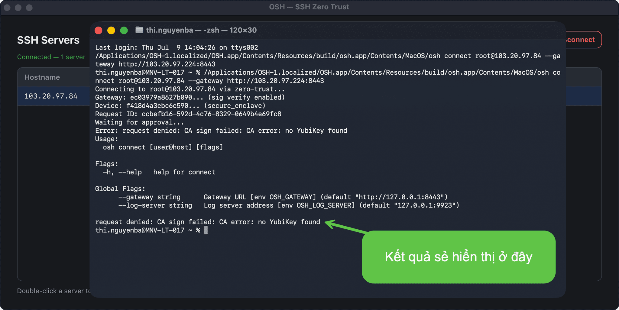 OSH Client results page highlighting the results and access code