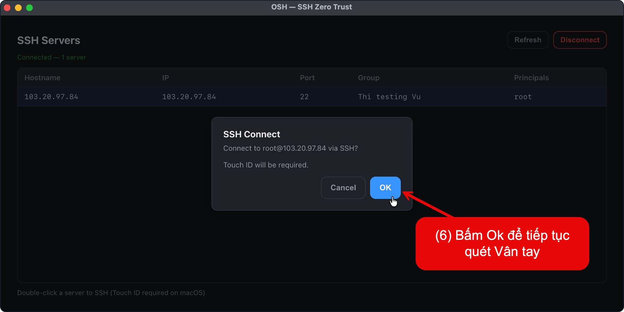 OSH Client SSH connection dialog highlighting the connection details and authentication options